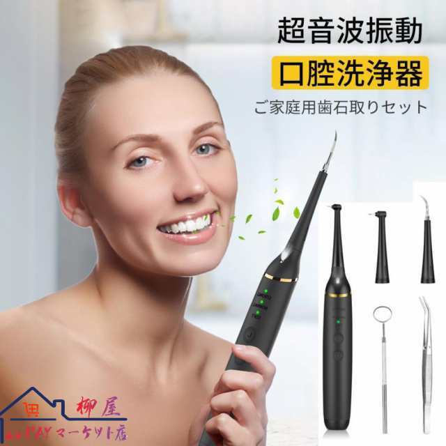 口腔洗浄器 音波 歯石取り 超音波 自分 歯石 除去 電動 用品 口臭 歯 ヤニ取 り 歯 ヤニ取り クリーナー 歯間ブラシ 黄ばみ 汚れ 口腔ケア