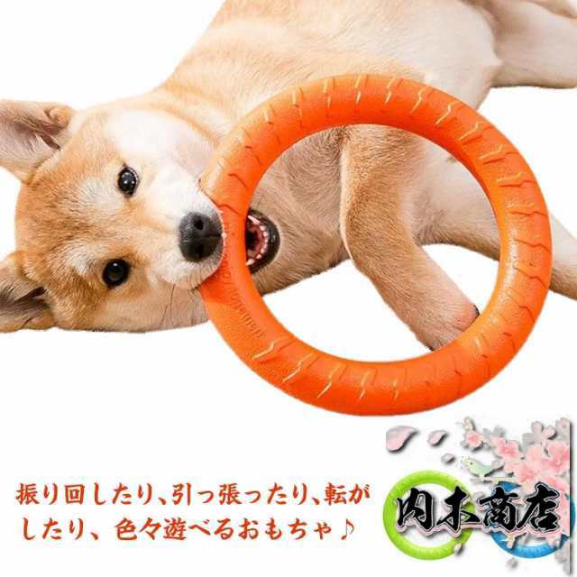 犬 犬用 おもちゃ 輪 リング 丈夫 頑丈 小型犬 中型犬 ペット 輪っか 噛むおもちゃ ワンちゃん 海 散歩 夏 夏の日 海辺 大型犬 遊び プレゼント ギフト 大人気 ストレス解消 長持ち トレー
