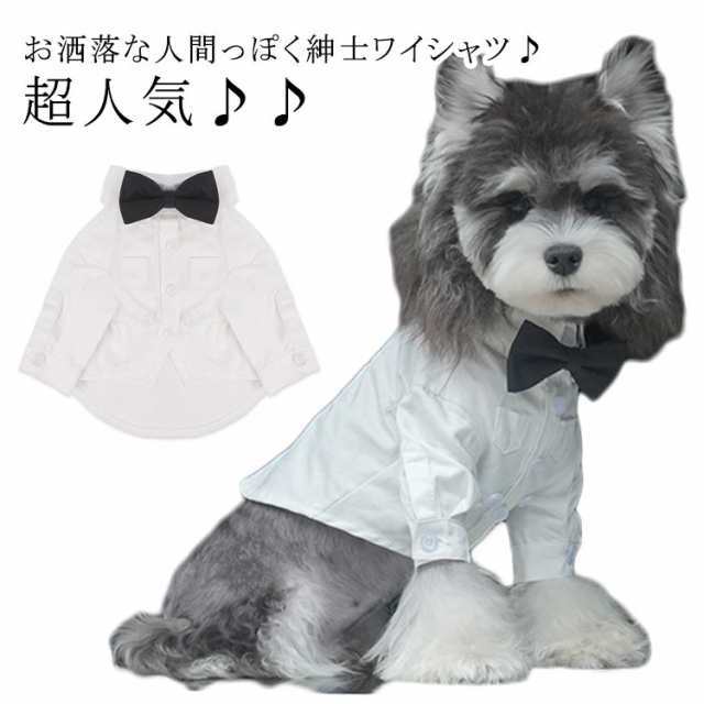 犬服 Yシャツ 可愛い ペット服 ドッグウェア 紳士 ワイシャツ 白シャツ シャツ ホワイト 白 重ね着 無地 シンプル 柔らかい 人気 男の子 女の子 可愛い オシャレ お出かけ お散歩 猫服 送料