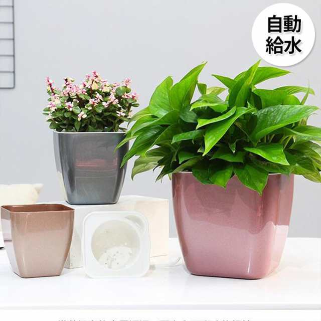 植木鉢 プランター おしゃれ 鉢植え 花 栽培 プレゼント ギフト 母の日 通販 かわいい ガーデニング ゴールド グレー レッド清潔感 エレガント